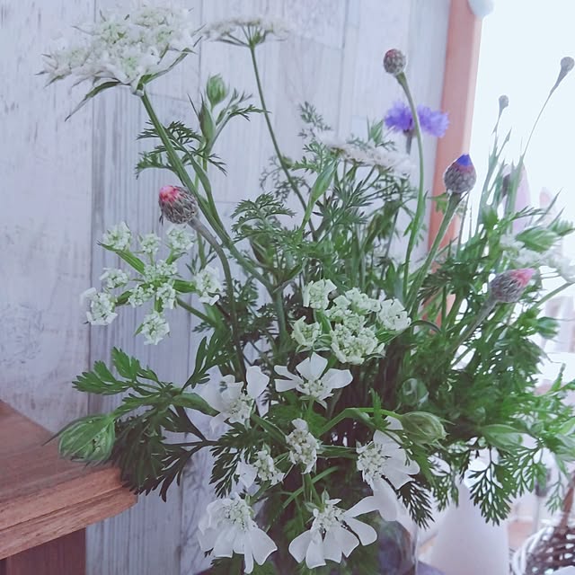 Mikaさんの部屋