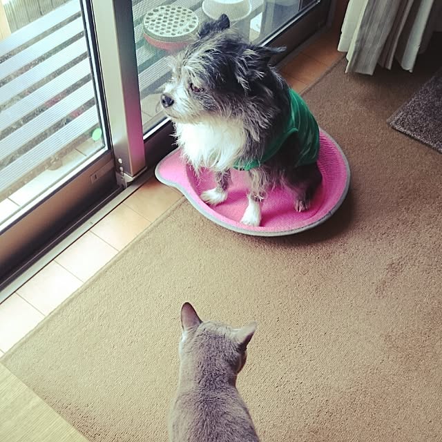 kosame918さんの実例写真