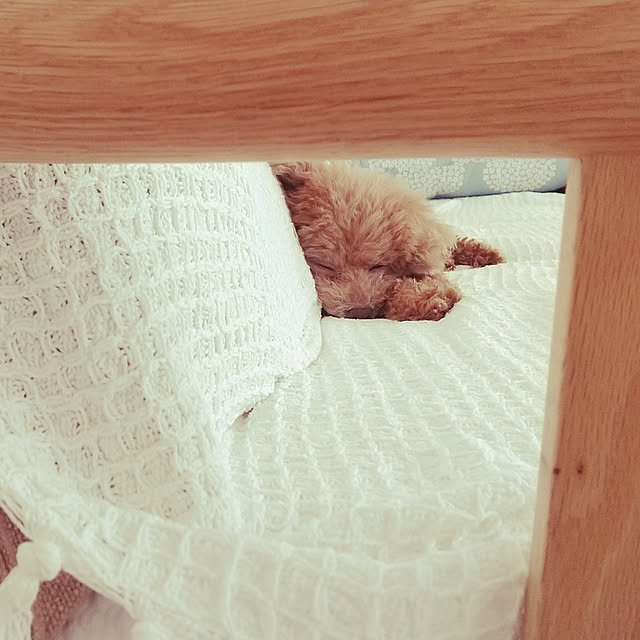 kettoさんの実例写真