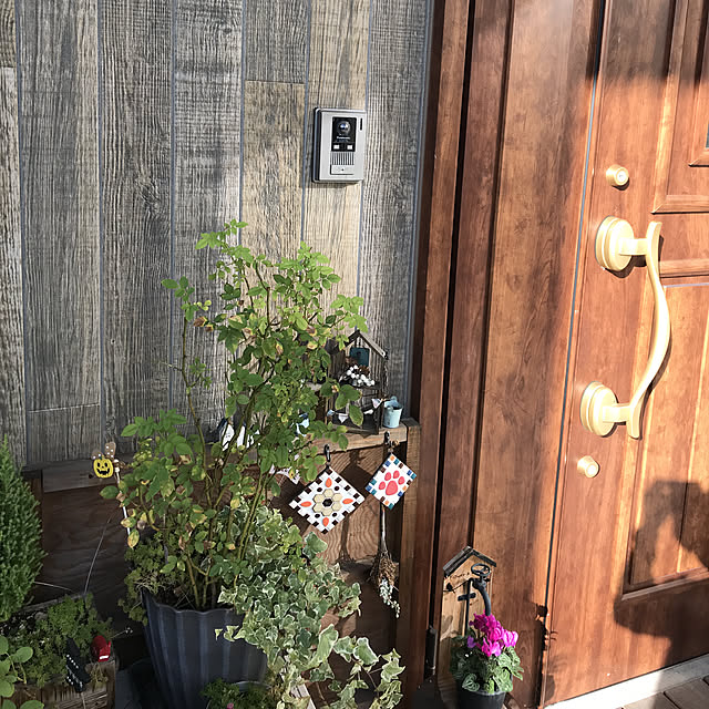 yukichi.wanwaさんの実例写真