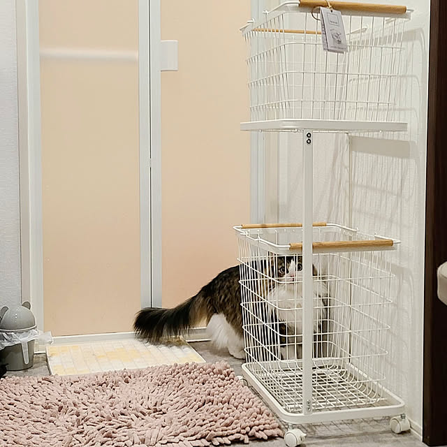 akiko6193さんの実例写真