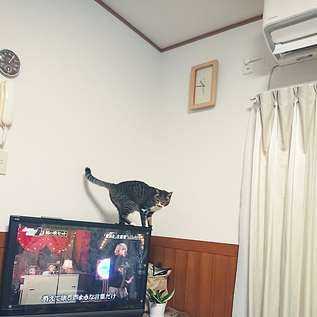nachiさんの実例写真