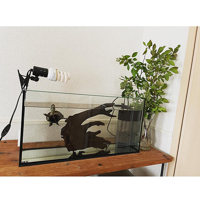 木製家具/水槽/アンティーク/2LDK/ブルーベリー...などのインテリア実例 - 2022-06-20 21:23:24