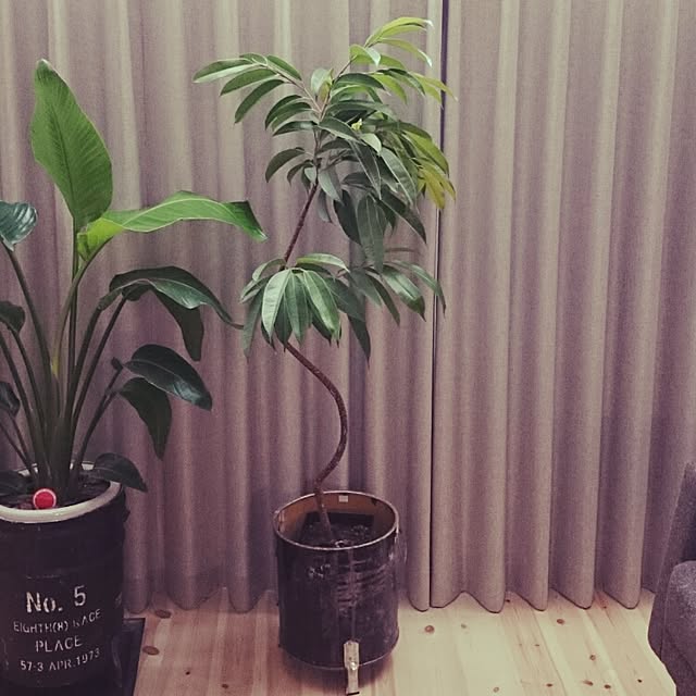 cocomanaさんの実例写真