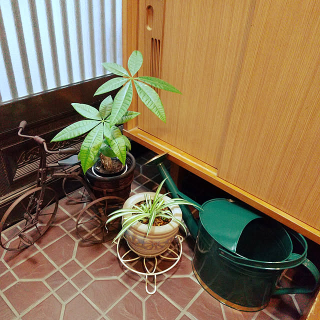 emibutaさんの実例写真