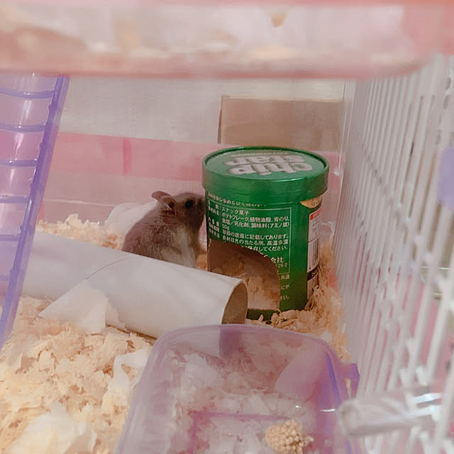 milkさんの実例写真