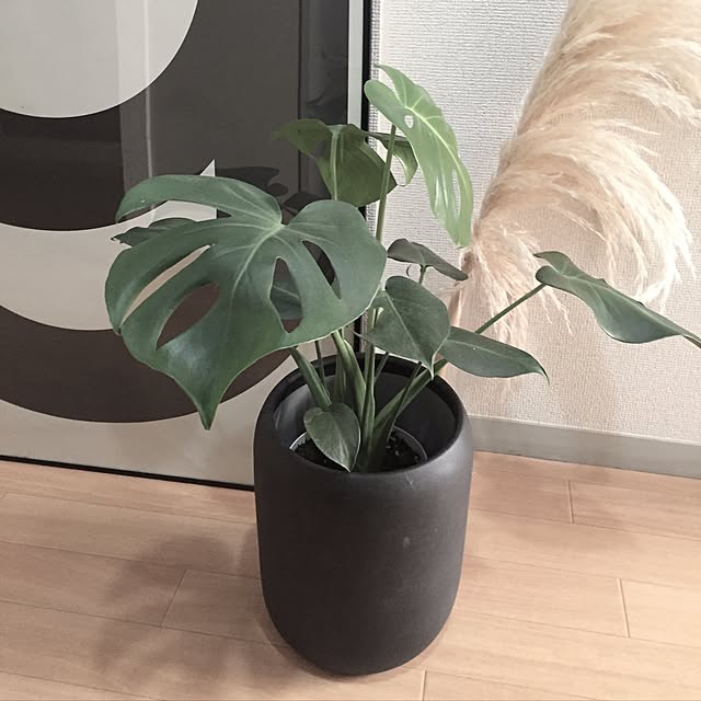 cocco0201さんの実例写真