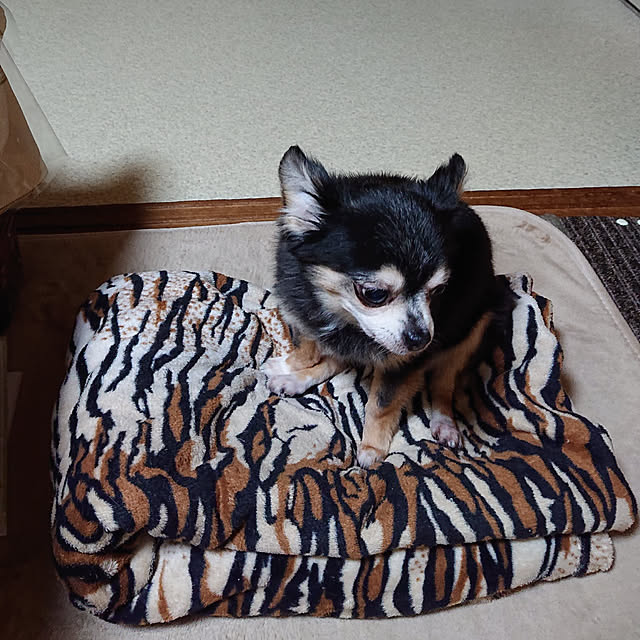 LaLaさんの実例写真