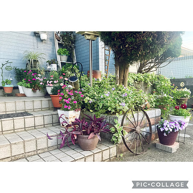 CoCo0617さんの実例写真