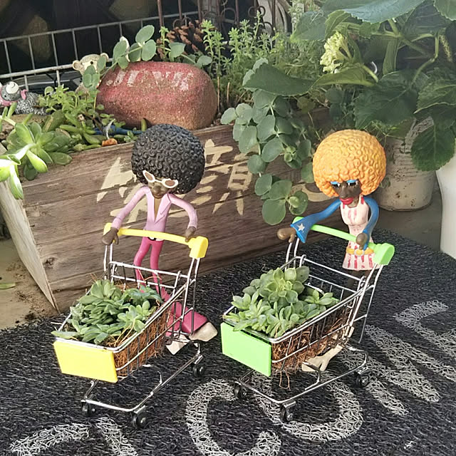 abibiさんの実例写真