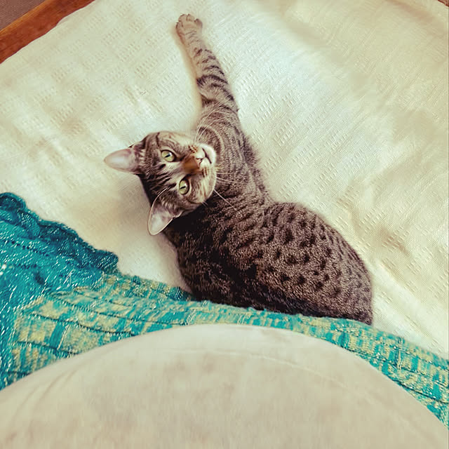 Mさんの実例写真