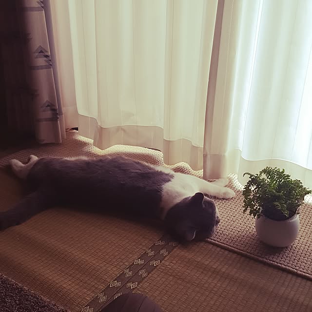rhuさんの実例写真