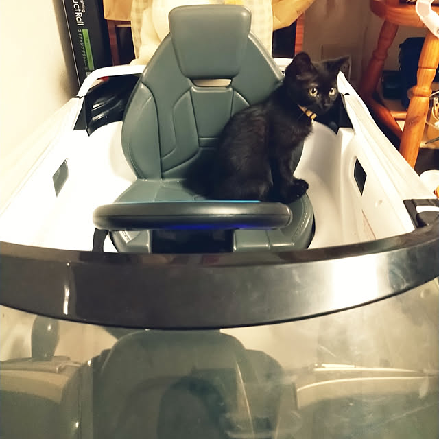 Tさんの実例写真