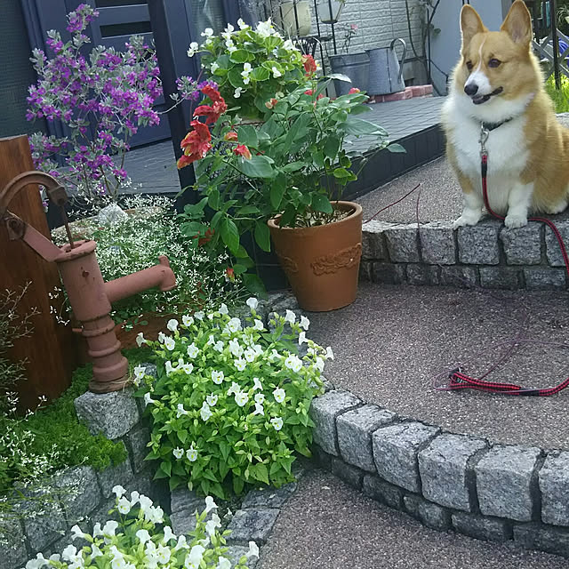 tenntennさんの実例写真
