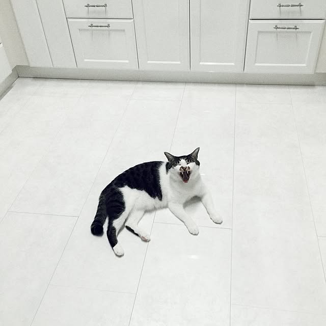 yuchiさんの実例写真