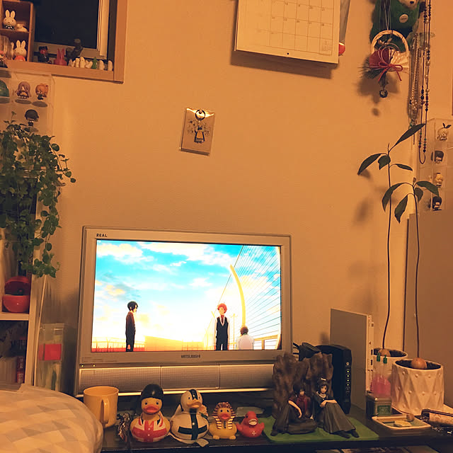 spitzboyさんの実例写真