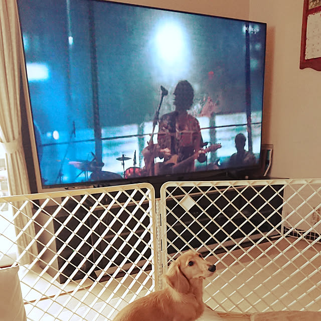 JUNMARIKAさんの実例写真