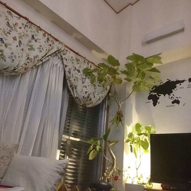 maroさんの実例写真