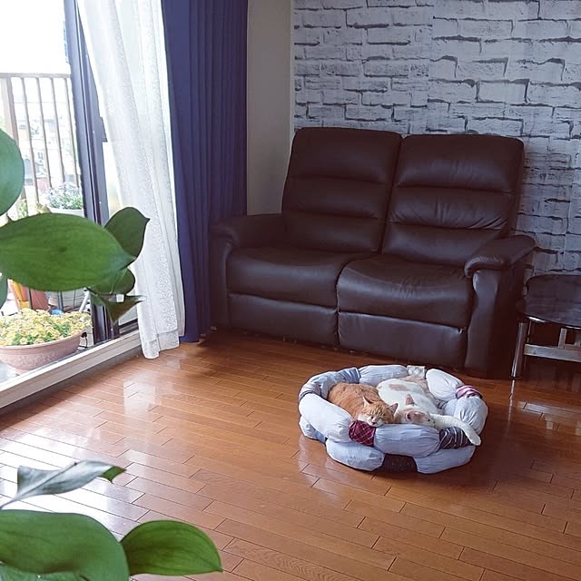 NOAHさんの部屋