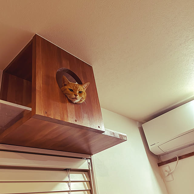 mikeume7さんの実例写真