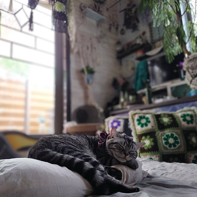 hiro3さんの実例写真