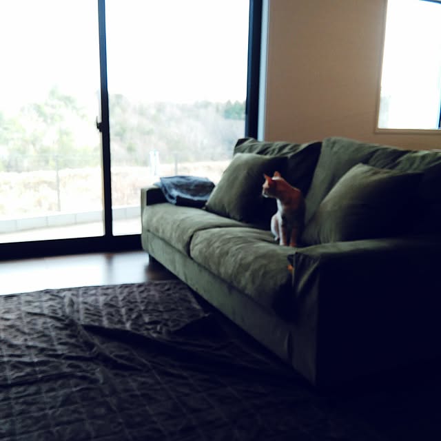 r.0w0.22.2.25.k.s.iさんの実例写真