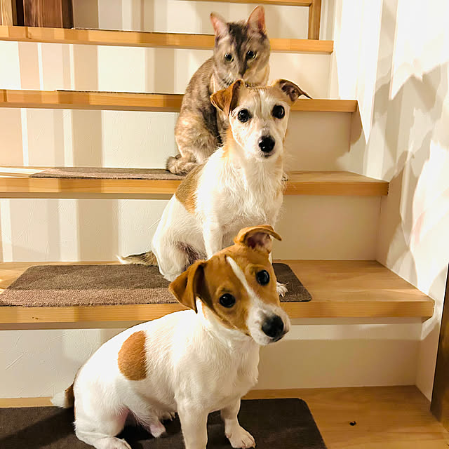 PU930さんの部屋