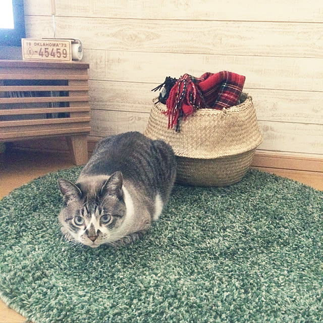 hanahanaさんの実例写真