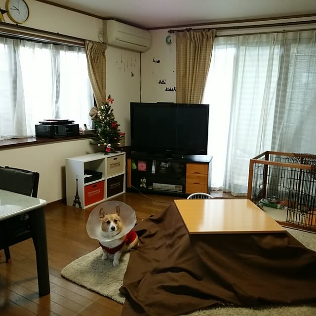 cohakuさんの実例写真