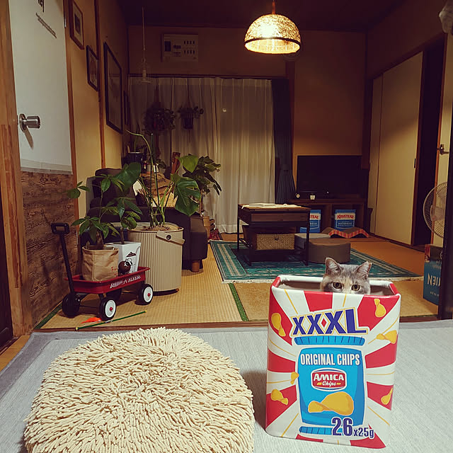 fukuさんの実例写真