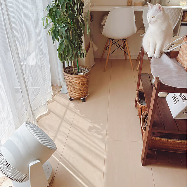 Miyu_さんの部屋