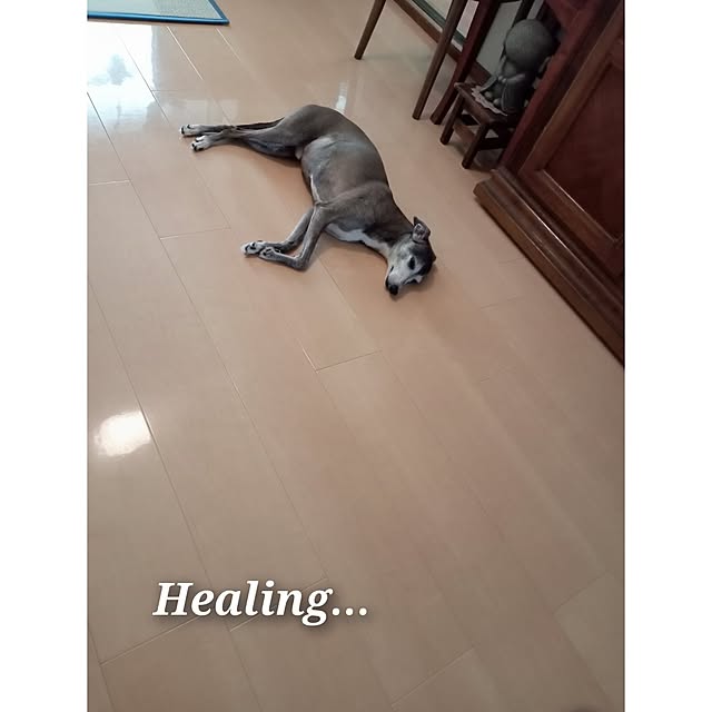 moruさんの部屋
