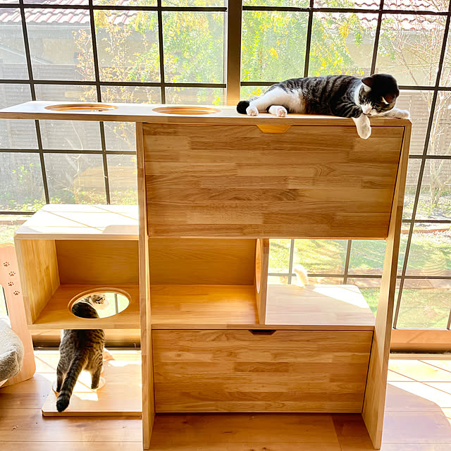 Yukinekoさんの部屋