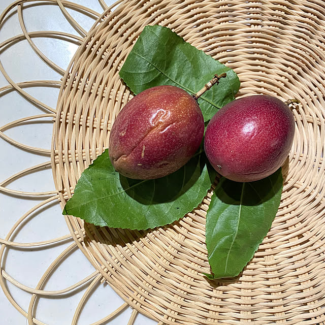Mahoさんの部屋