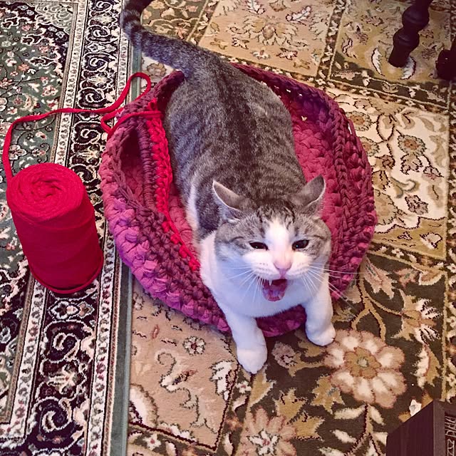 emmyyさんの実例写真