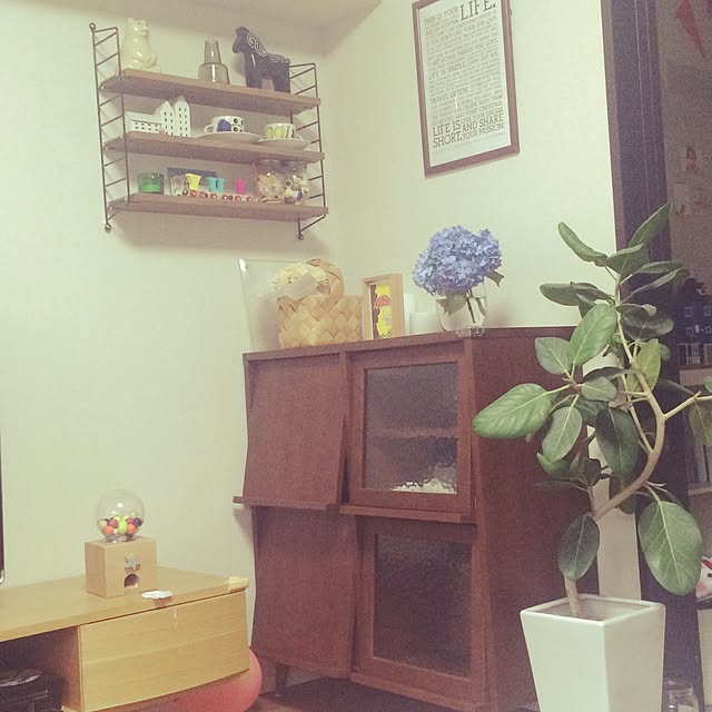 kopanさんの実例写真