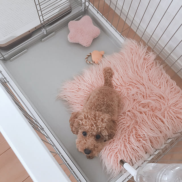 lilyさんの実例写真