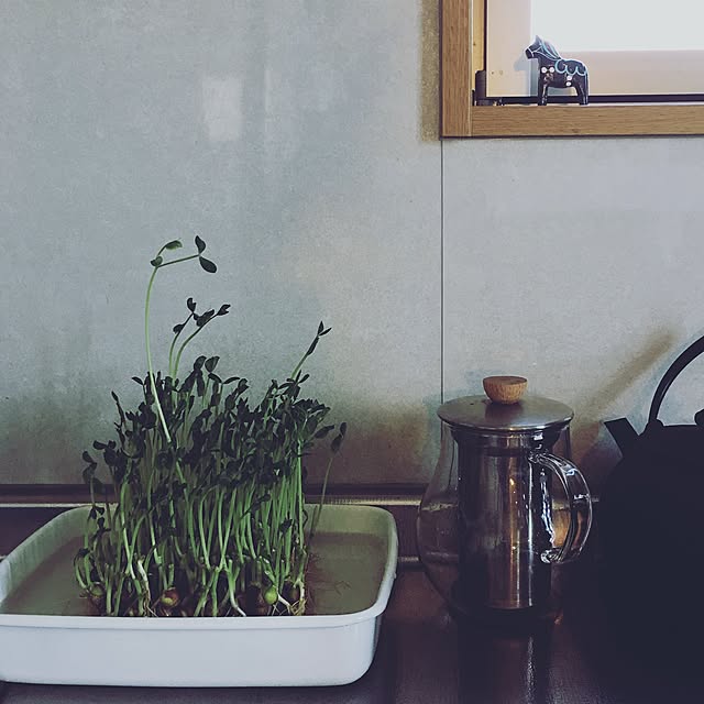 ayaさんの実例写真