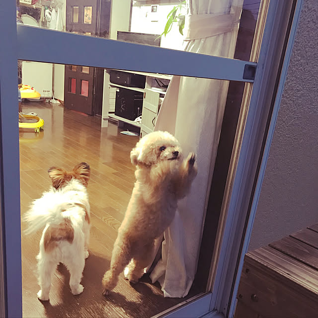 hima820さんの実例写真