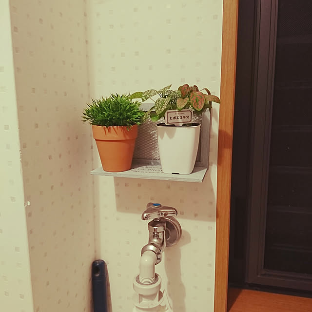 yonyonさんの実例写真