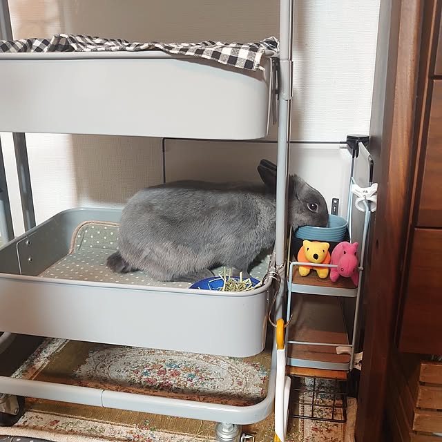 kirariさんの部屋