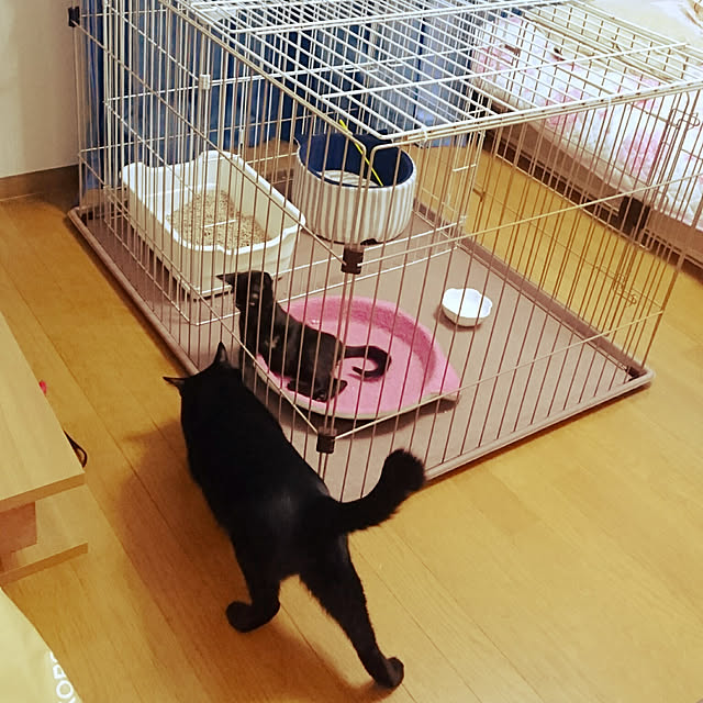 shiiiさんの実例写真