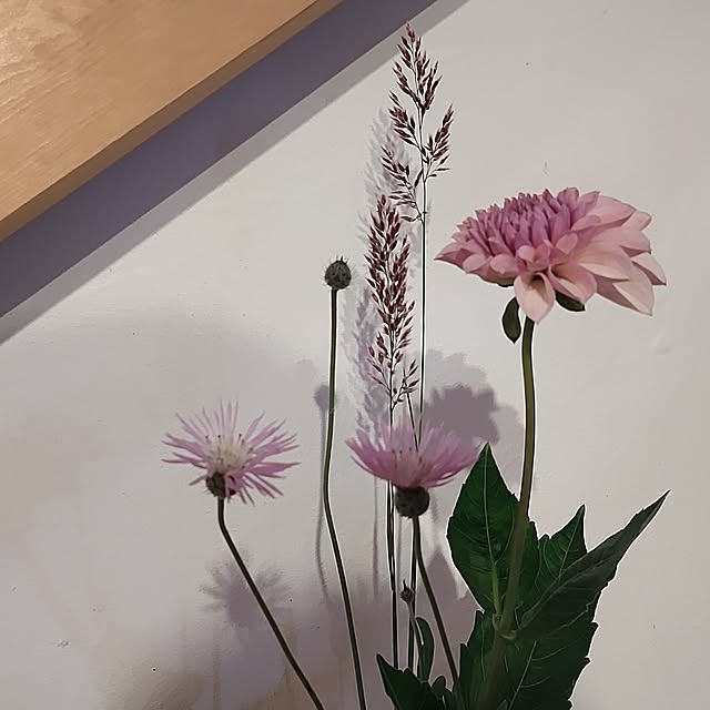 t.yumiさんの部屋