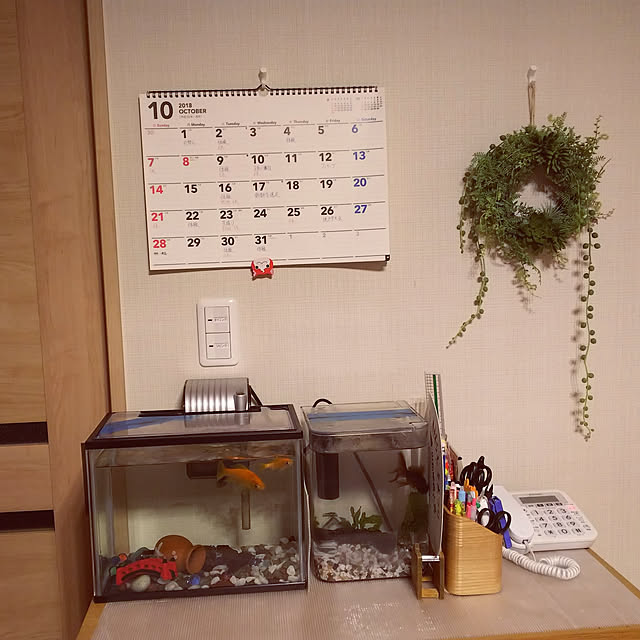 akibchanさんの実例写真