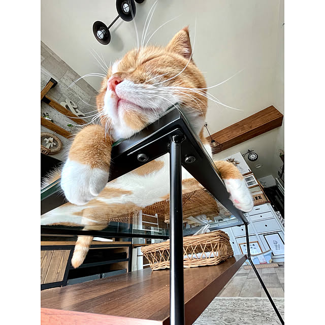 airararaさんの実例写真