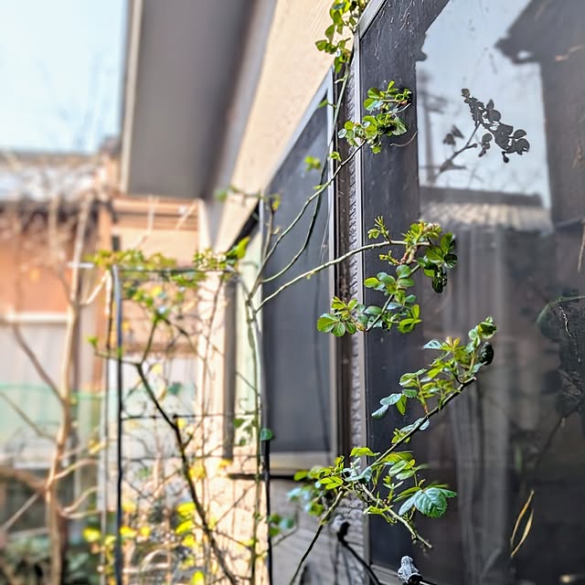 aromameさんの部屋