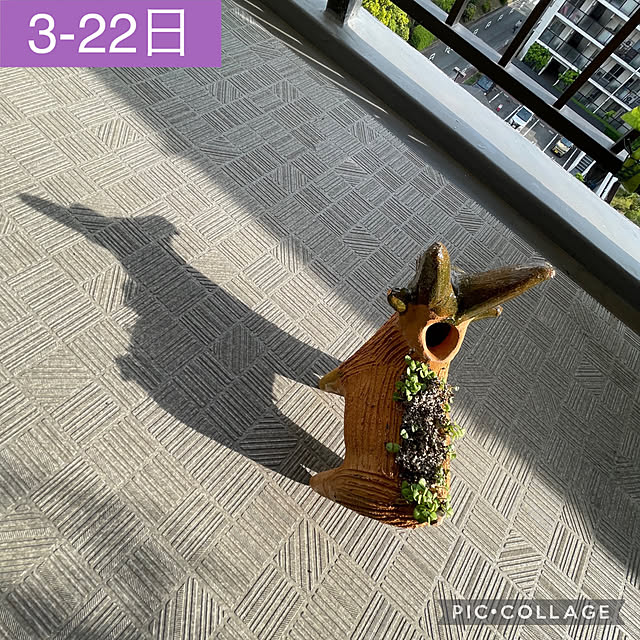 aureaさんの実例写真