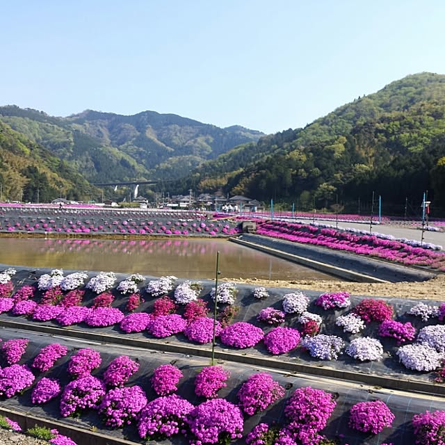 norikuuさんの実例写真