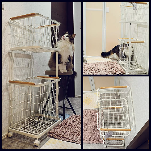 akiko6193さんの実例写真
