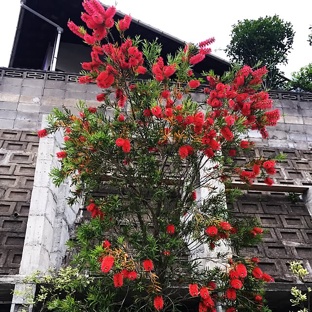 pkdsmxmxmucic413さんの実例写真